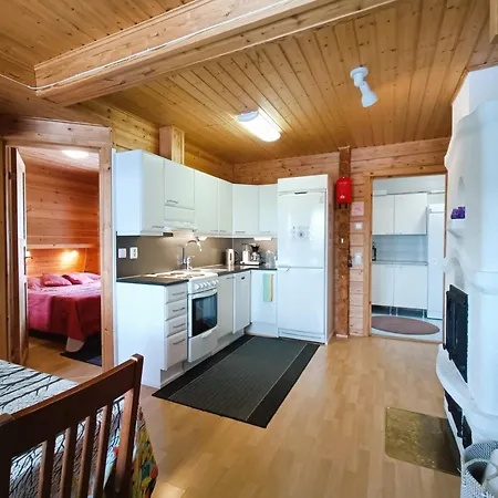 Huipunpuisto 2 Holiday home *
