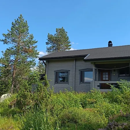 Huipunpuisto 2 Holiday home
